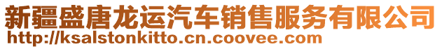 新疆盛唐龍運(yùn)汽車(chē)銷(xiāo)售服務(wù)有限公司