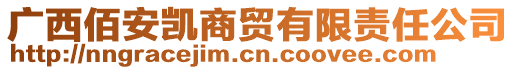 廣西佰安凱商貿(mào)有限責(zé)任公司