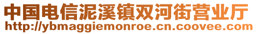 中國(guó)電信泥溪鎮(zhèn)雙河街營(yíng)業(yè)廳