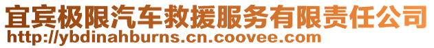 宜賓極限汽車救援服務有限責任公司