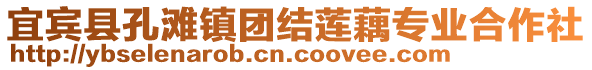 宜賓縣孔灘鎮(zhèn)團(tuán)結(jié)蓮藕專業(yè)合作社