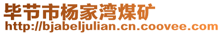 畢節(jié)市楊家灣煤礦