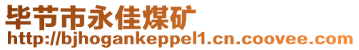 畢節(jié)市永佳煤礦