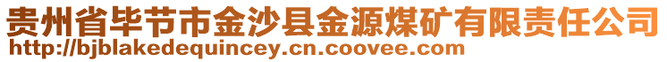 貴州省畢節(jié)市金沙縣金源煤礦有限責任公司