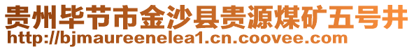 贵州毕节市金沙县贵源煤矿五号井