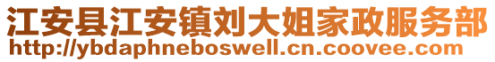 江安縣江安鎮(zhèn)劉大姐家政服務部