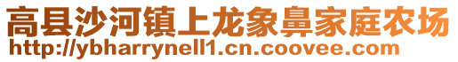 高县沙河镇上龙象鼻家庭农场