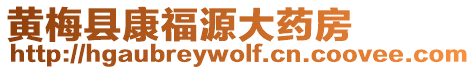 黃梅縣康福源大藥房