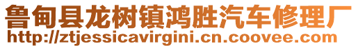 魯?shù)榭h龍樹鎮(zhèn)鴻勝汽車修理廠