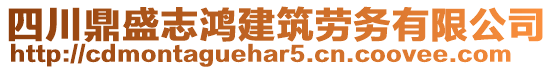 四川鼎盛志鴻建筑勞務有限公司