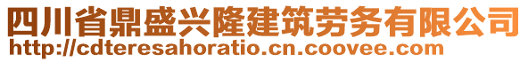 四川省鼎盛興隆建筑勞務(wù)有限公司