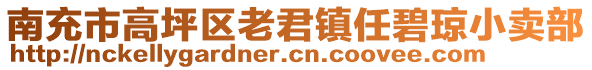 南充市高坪區(qū)老君鎮(zhèn)任碧瓊小賣部