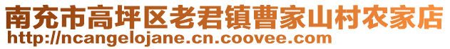 南充市高坪區(qū)老君鎮(zhèn)曹家山村農(nóng)家店