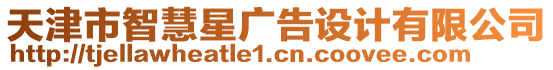 天津市智慧星廣告設(shè)計(jì)有限公司