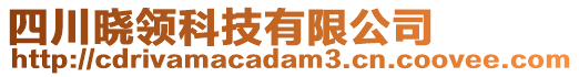 四川曉領(lǐng)科技有限公司