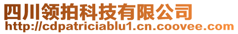 四川領(lǐng)拍科技有限公司