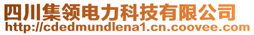 四川集領(lǐng)電力科技有限公司