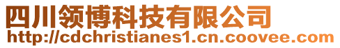 四川領(lǐng)博科技有限公司