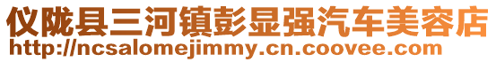 儀隴縣三河鎮彭顯強汽車美容店