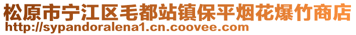 松原市寧江區(qū)毛都站鎮(zhèn)保平煙花爆竹商店