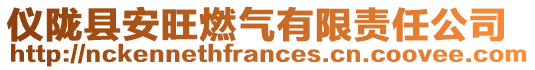 儀隴縣安旺燃?xì)庥邢挢?zé)任公司