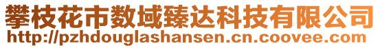 攀枝花市數(shù)域臻達(dá)科技有限公司