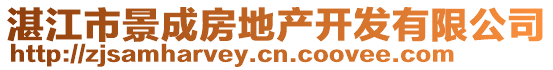 湛江市景成房地产开发有限公司