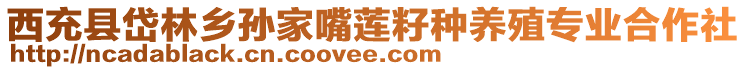 西充縣岱林鄉(xiāng)孫家嘴蓮籽種養(yǎng)殖專業(yè)合作社