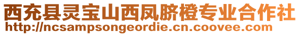 西充縣靈寶山西鳳臍橙專業(yè)合作社