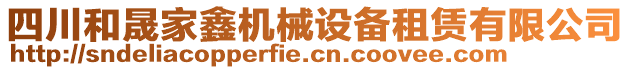 四川和晟家鑫機(jī)械設(shè)備租賃有限公司