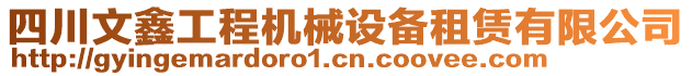 四川文鑫工程機(jī)械設(shè)備租賃有限公司