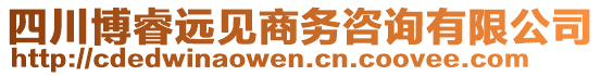 四川博睿遠(yuǎn)見商務(wù)咨詢有限公司