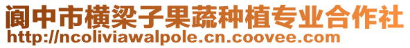 阆中市横梁子果蔬种植专业合作社