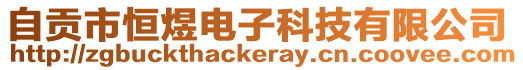 自貢市恒煜電子科技有限公司