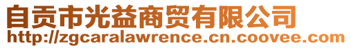 自貢市光益商貿有限公司