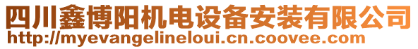 四川鑫博陽機電設(shè)備安裝有限公司