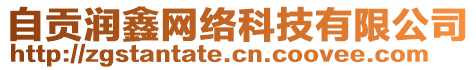 自貢潤(rùn)鑫網(wǎng)絡(luò)科技有限公司