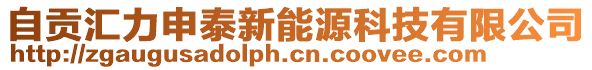 自貢匯力申泰新能源科技有限公司