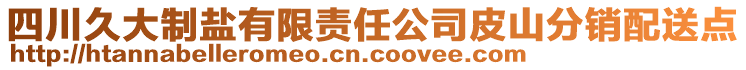 四川久大制鹽有限責(zé)任公司皮山分銷(xiāo)配送點(diǎn)