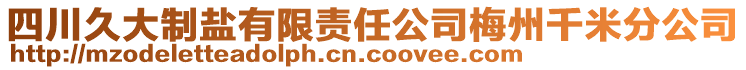 四川久大制鹽有限責(zé)任公司梅州千米分公司