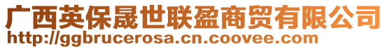 廣西英保晟世聯(lián)盈商貿(mào)有限公司