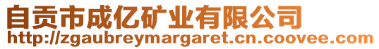 自貢市成億礦業(yè)有限公司