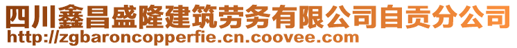 四川鑫昌盛隆建筑劳务有限公司自贡分公司