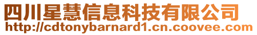 四川星慧信息科技有限公司