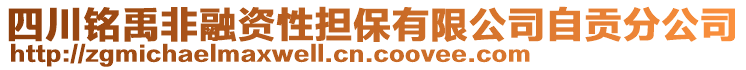 四川銘禹非融資性擔(dān)保有限公司自貢分公司