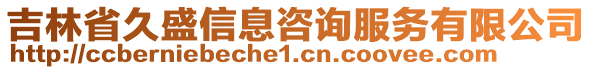 吉林省久盛信息咨詢服務(wù)有限公司