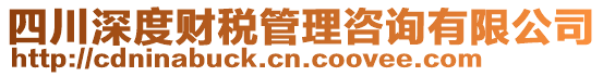 四川深度財(cái)稅管理咨詢有限公司