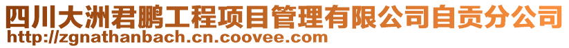 四川大洲君鵬工程項目管理有限公司自貢分公司