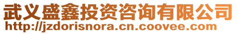 武義盛鑫投資咨詢有限公司