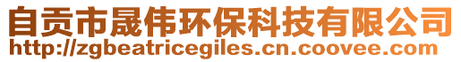 自貢市晟偉環(huán)保科技有限公司